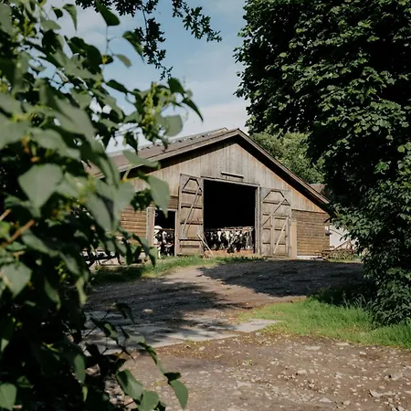Paerchen Auszeit Am Rande Der Heide *