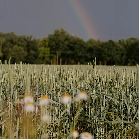 Appartement Paerchen Auszeit Am Rande Der Heide Schwienau