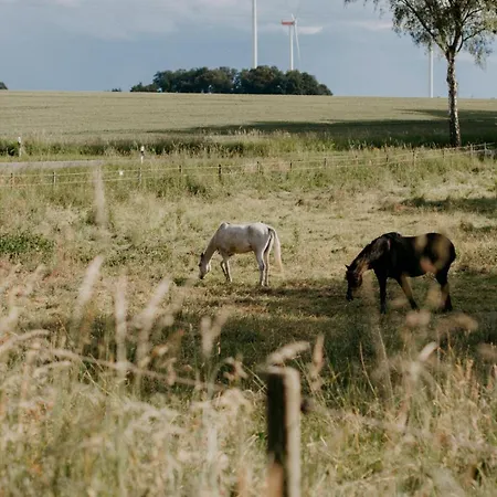 Paerchen Auszeit Am Rande Der Heide