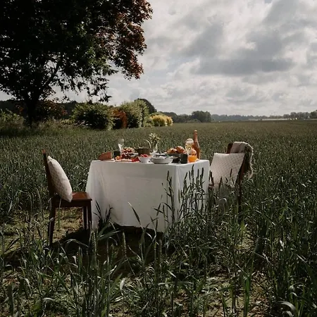 Paerchen Auszeit Am Rande Der Heide *